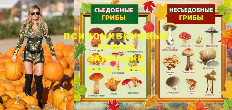 Галлюциногенные грибы MAGIC MUSHROOMS  мега ССЫЛКА  Сафоново  продажа наркотиков 